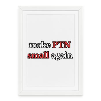 Make PTN small again - Framed poster (27 × 37 cm) - white - Front