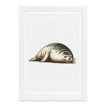 Phoque - Affiche encadrée (27 × 37 cm) - blanc - Devant