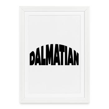 Dalmatian, Dalmatian lettering - Framed poster (27 × 37 cm) - white - Front