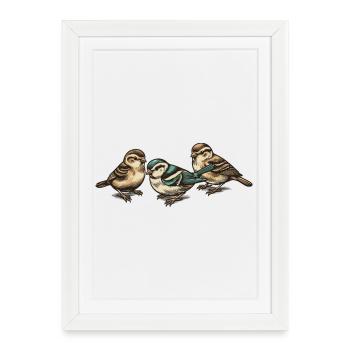 Trois petits oiseaux - Affiche encadrée (27 × 37 cm) - blanc - Devant