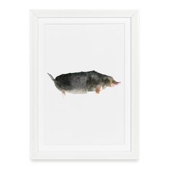 Mole - Framed poster (27 × 37 cm) - white - Front