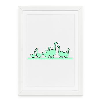 Canards Oies - Affiche encadrée (27 × 37 cm) - blanc - Devant
