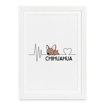 Chihuahua - Affiche encadrée (27 × 37 cm) - blanc - Devant