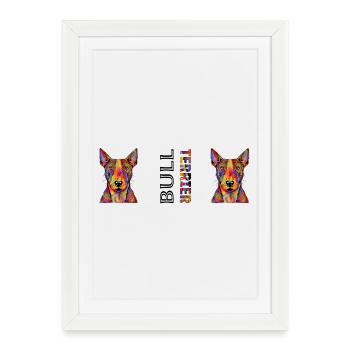 Bull terrier - Affiche encadrée (27 × 37 cm) - blanc - Devant