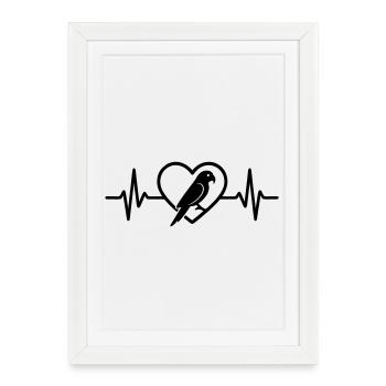 Parrot Heart - Framed poster (27 × 37 cm) - white - Front