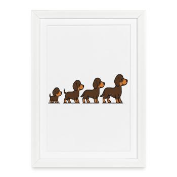 Étapes de croissance du chien : illustration du chiot à l’adulte - Affiche encadrée (27 × 37 cm) - blanc - Devant