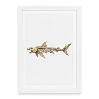 Angler Shark Skeleton Fossil Ocean Motif - Framed poster (27 × 37 cm) - white - Front