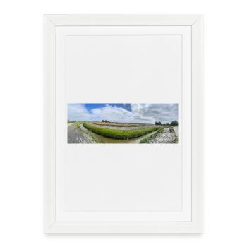 Champ panoramique avec fossé et fleurs - Affiche encadrée (27 × 37 cm) - blanc - Devant