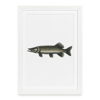 Brochet - Affiche encadrée (27 × 37 cm) - blanc - Devant