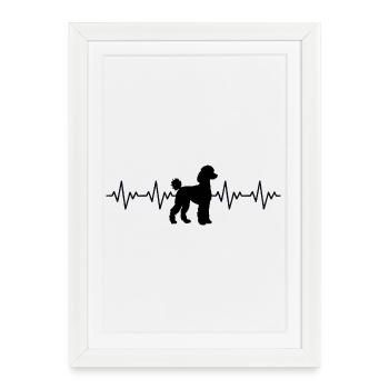 ECG du caniche Battement de cœur - Affiche encadrée (27 × 37 cm) - blanc - Devant