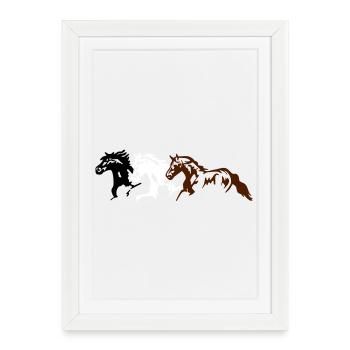 Chevaux, poneys, animaux, étalon, - Affiche encadrée (27 × 37 cm) - blanc - Devant