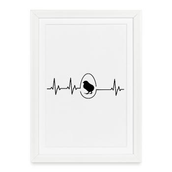 Fans de poulets - - Coq - Poussins - Affiche encadrée (27 × 37 cm) - blanc - Devant