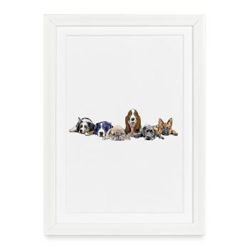 Chiens aussi Chien de montagne Carlin Basset Chien de berger - Affiche encadrée (27 × 37 cm) - blanc - Devant