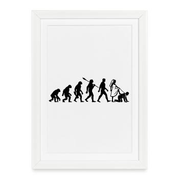 Enterrement de vie de garçon Evolution - Affiche encadrée (27 × 37 cm) - blanc - Devant