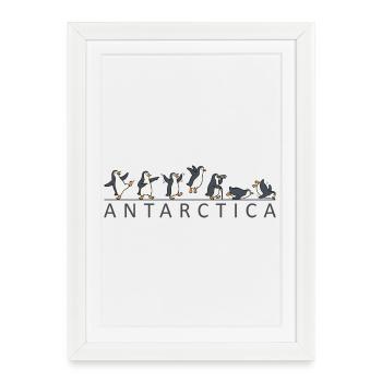 Vacances en famille en Antarctique : les manchots dans l’A - Affiche encadrée (27 × 37 cm) - blanc - Devant