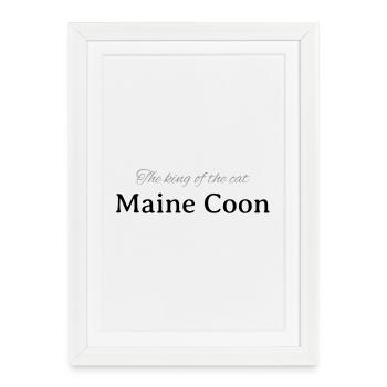 Maine Coon - The king - Framed poster (27 × 37 cm) - white - Front