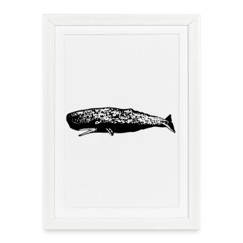 Cachalot - Affiche encadrée (27 × 37 cm) - blanc - Devant