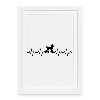 ECG du caniche Battement de cœur - Affiche encadrée (27 × 37 cm) - blanc - Devant