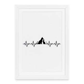 Cat and Dog ECG Heartbeat - Framed poster (27 × 37 cm) - white - Front