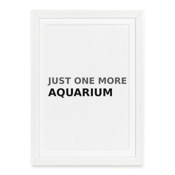 Il ne reste qu’un aquarium - Affiche encadrée (27 × 37 cm) - blanc - Devant