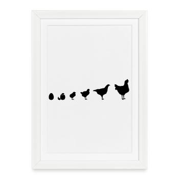 Fans de poulet - Coq - Coq - Poussin - Œuf - Bio - Affiche encadrée (27 × 37 cm) - blanc - Devant