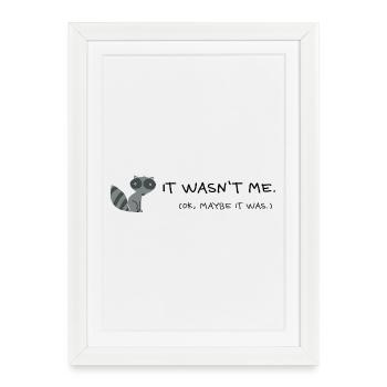 It Wasn't Me Maybe It Was Raccoon - Framed poster (27 × 37 cm) - white - Front