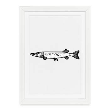 Brochet 01 - Affiche encadrée (27 × 37 cm) - blanc - Devant