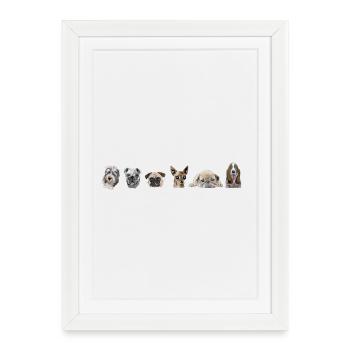 Canine - Affiche encadrée (27 × 37 cm) - blanc - Devant