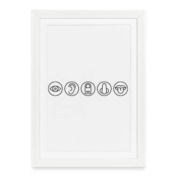 Five Senses, Sensory Organs, Medicine - Framed poster (27 × 37 cm) - white - Front