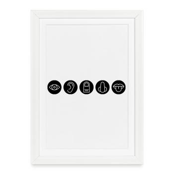 Five senses, sense organs - Framed poster (27 × 37 cm) - white - Front