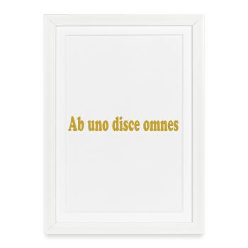 ab uno disce omnes Latin quote Latein - Framed poster (27 × 37 cm) - white - Front