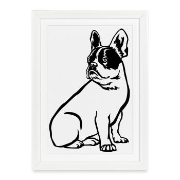 Français Bulldog - Affiche encadrée (27 × 37 cm) - blanc - Devant