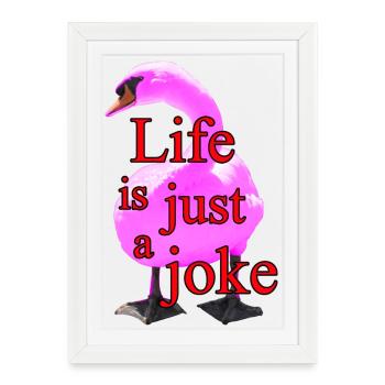 Imprimé cygne humoristique - Affiche encadrée (27 × 37 cm) - blanc - Devant
