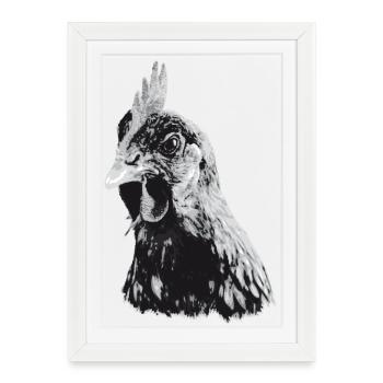 Fans de poulet - Coq - Coq - Poulet fleur - Bio - Affiche encadrée (27 × 37 cm) - blanc - Devant
