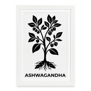 Silhouette de la plante ashwagandha - Affiche encadrée (27 × 37 cm) - blanc - Devant