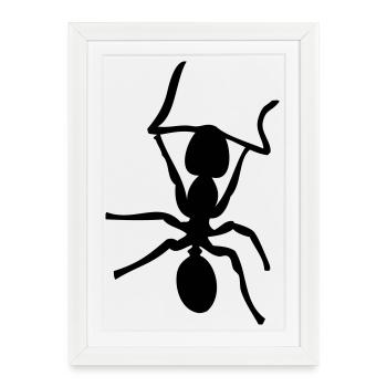Fourmis - Insectes - Fourmis - Affiche encadrée (27 × 37 cm) - blanc - Devant