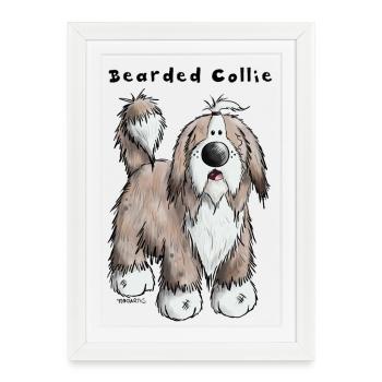 Happy Bearded Collie - Framed poster (27 × 37 cm) - white - Front