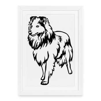 Sheltie - Affiche encadrée (27 × 37 cm) - blanc - Devant