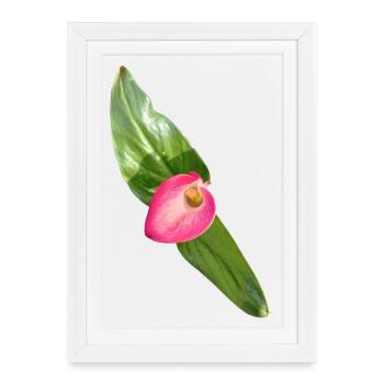 Pink Calla Blossom - Framed poster (27 × 37 cm) - white - Front