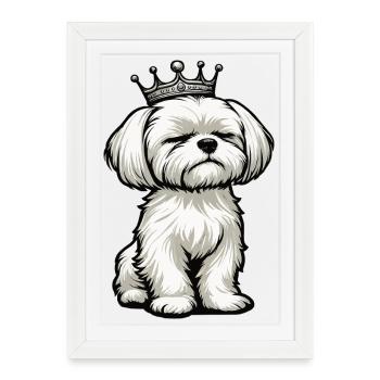 Malteser Maltese Owner Maltese Lovers - Framed poster (27 × 37 cm) - white - Front