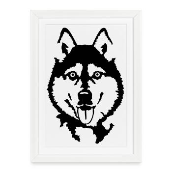 Husky - Framed poster (27 × 37 cm) - white - Front