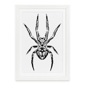 Spider power The symbol of strength and mystery - Framed poster (27 × 37 cm) - white - Front