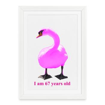 Surprising Ornate Swan Mash-Up - Framed poster (27 × 37 cm) - white - Front