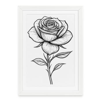 Rose transparent - Affiche encadrée (27 × 37 cm) - blanc - Devant