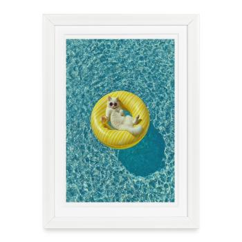 Sunlit Cat on Yellow Pool Float - Framed poster (27 × 37 cm) - white - Front