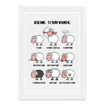 A little sheep knowledge - Framed poster (27 × 37 cm) - white - Front