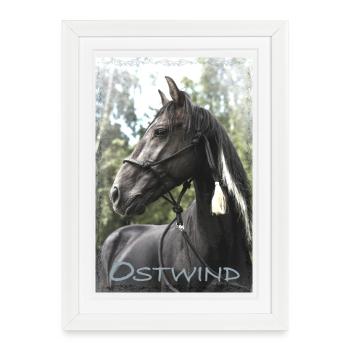 Ostwind Der schwarze Hengst Poster - Gerahmtes Poster (27 × 37 cm) - Weiß - Vorne