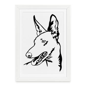 Tête Podenco - Affiche encadrée (27 × 37 cm) - blanc - Devant