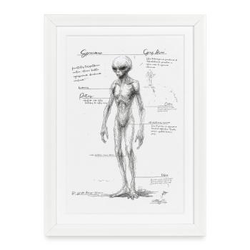 Alien Anatomy - Framed poster (27 × 37 cm) - white - Front