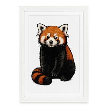 Illustration de câlin de panda roux - Affiche encadrée (27 × 37 cm) - blanc - Devant